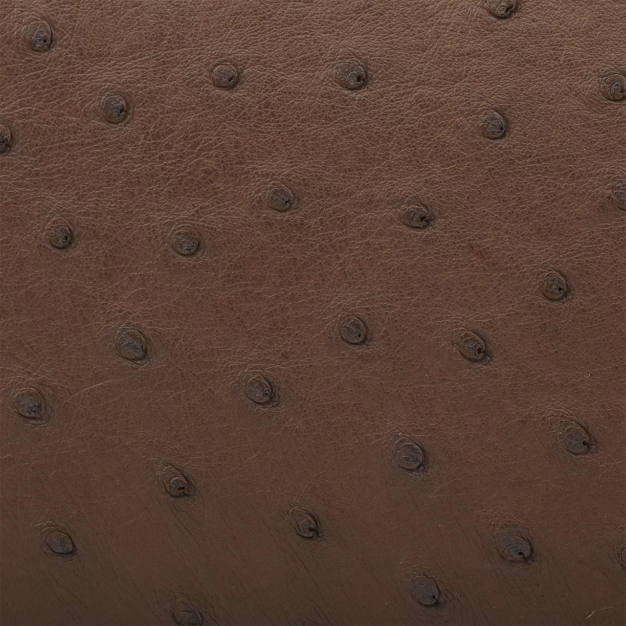 [PD1010] Genuine Ostrich Leather Mini Trunk Bag with long strap handbag crossbody bag PD1010