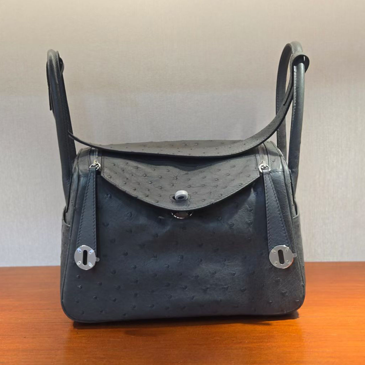 [PD1066] Luxury Ostrich Leather Pillow Bag – Large Capacity Women’s Handbag, Shoulder Bag, Crossbody Bag PD1066