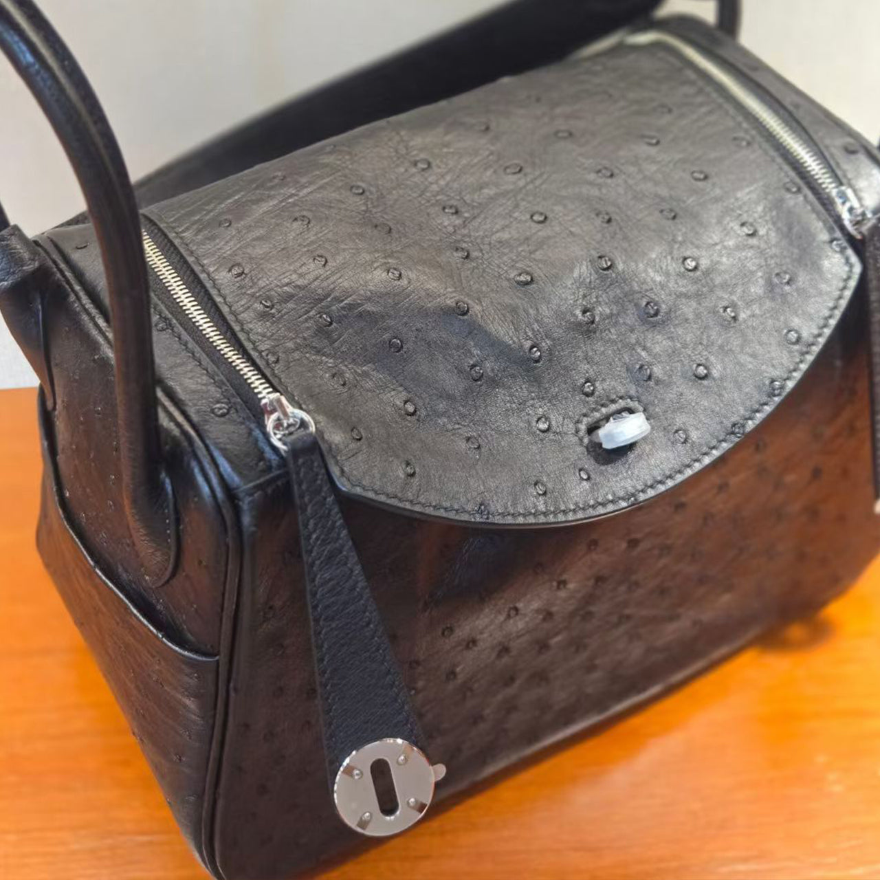 [PD1066] Luxury Ostrich Leather Pillow Bag – Large Capacity Women’s Handbag, Shoulder Bag, Crossbody Bag PD1066