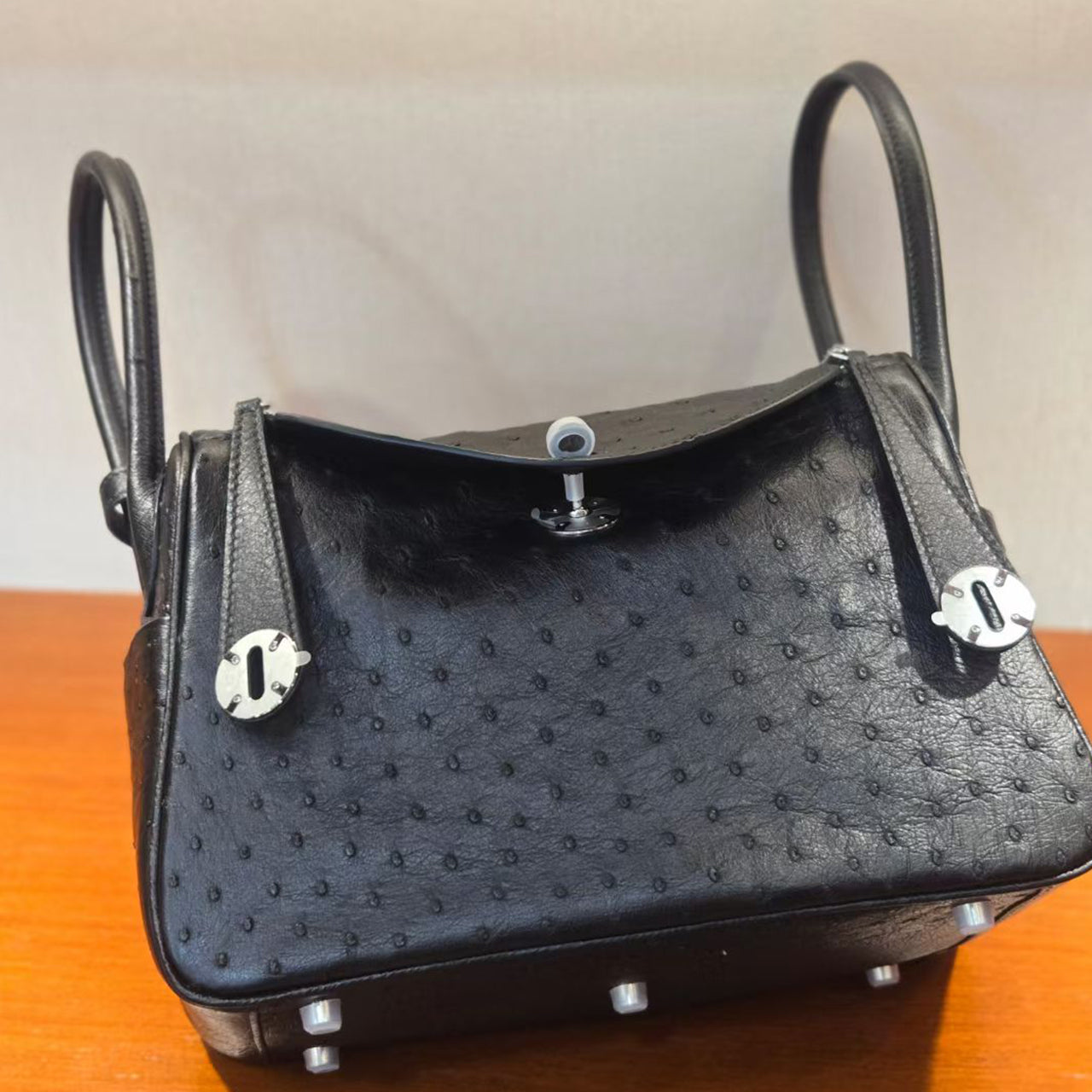 [PD1066] Luxury Ostrich Leather Pillow Bag – Large Capacity Women’s Handbag, Shoulder Bag, Crossbody Bag PD1066