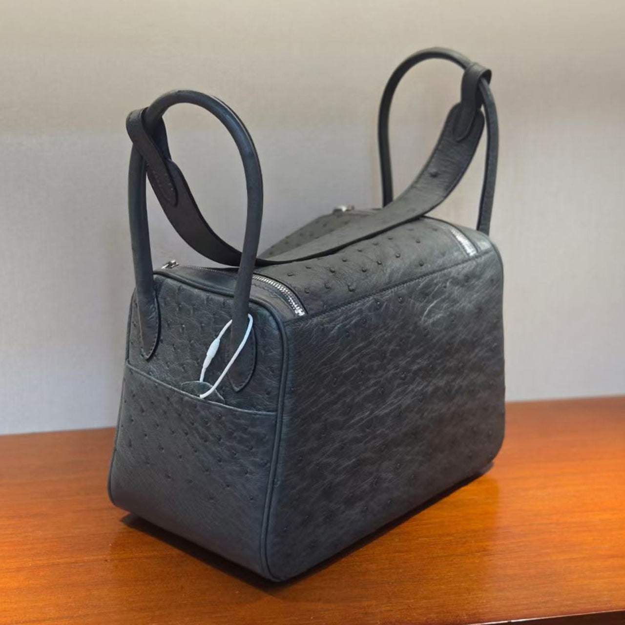 [PD1066] Luxury Ostrich Leather Pillow Bag – Large Capacity Women’s Handbag, Shoulder Bag, Crossbody Bag PD1066